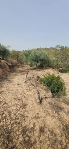 Finca/Casa di Campagna in vendita in La Torre de l'Espanyol - 27.500 € (Rif: 7802772)