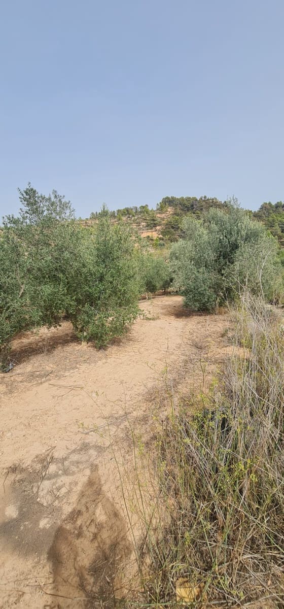 Finca/Landehus til salg i La Torre de l'Espanyol - € 27.500 (Ref: 7802772)