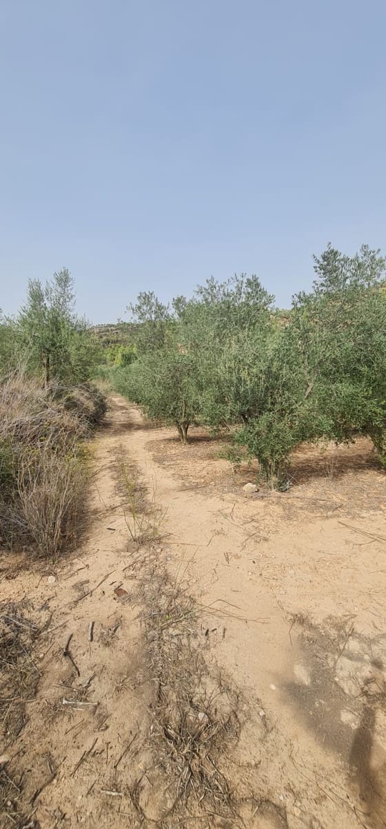 Finca/Landehus til salg i La Torre de l'Espanyol - € 27.500 (Ref: 7802772)