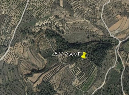 Finca/Country House for sale in Ascó - € 6,000 (Ref: 7930204)