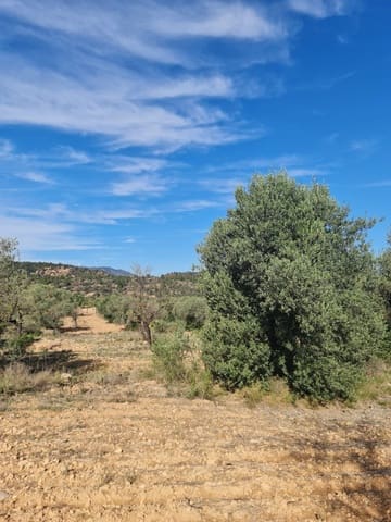 Finca/Country House for sale in Ascó - € 6,000 (Ref: 7930204)