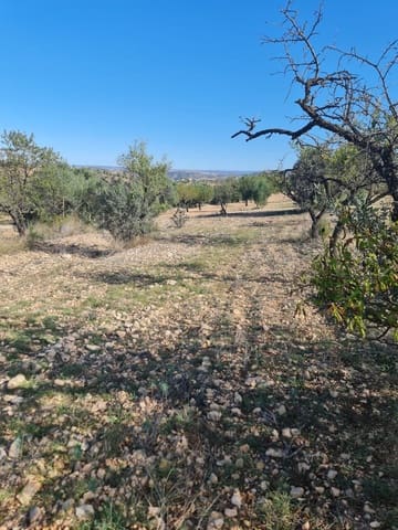 Finca/Country House for sale in Ascó - € 6,000 (Ref: 7930204)