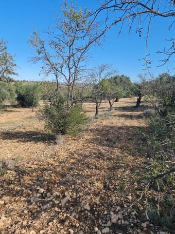 Finca/Country House for sale in Ascó - € 6,000 (Ref: 7930204)