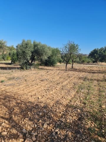 Finca/Country House for sale in Ascó - € 6,000 (Ref: 7930204)