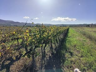 Finca/Country House for sale in Ginestar - € 15,500 (Ref: 7963355)