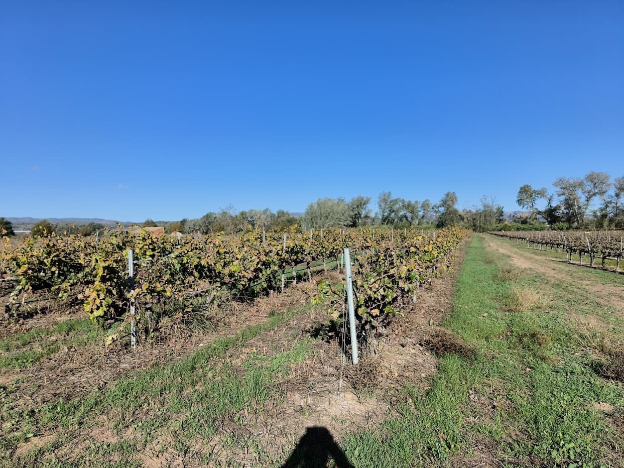 Finca/Country House for sale in Ginestar - € 15,500 (Ref: 7963355)