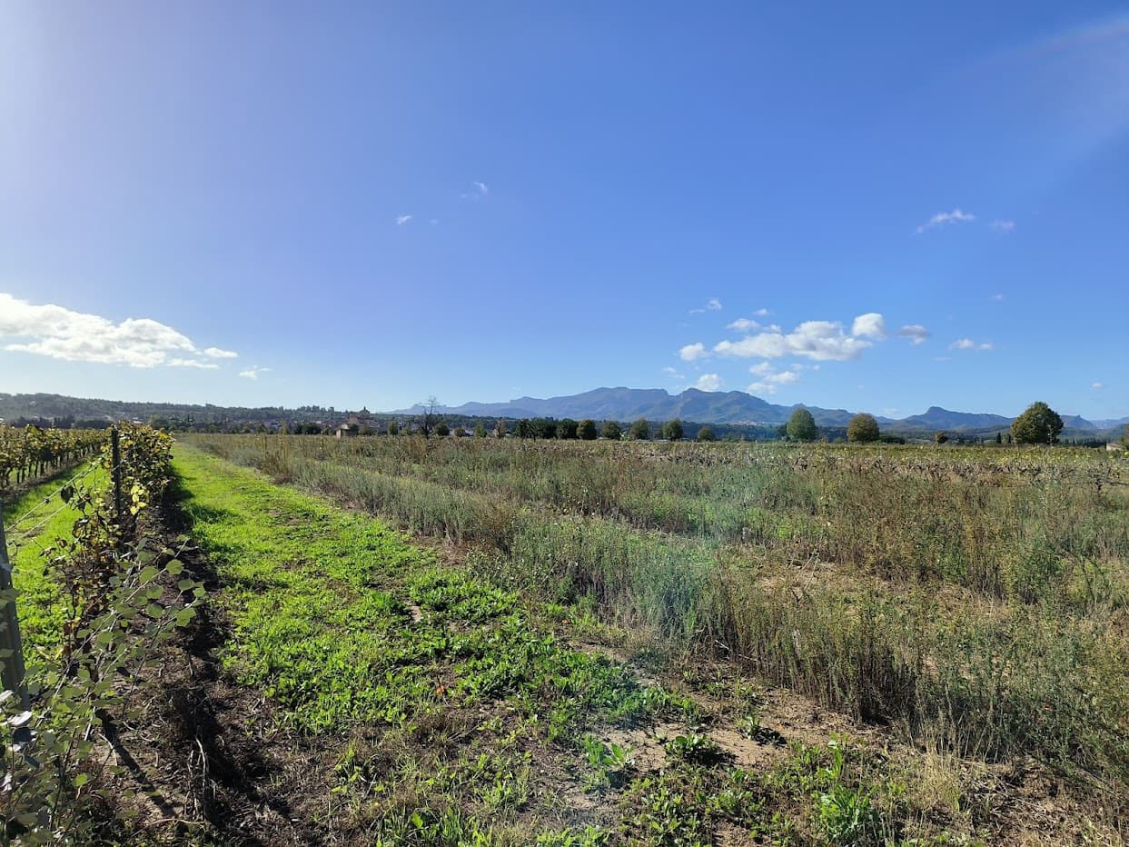 Finca/Country House for sale in Ginestar - € 15,500 (Ref: 7963355)