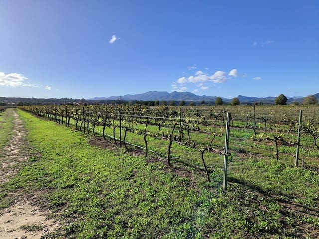 Finca/Herregård til salgs i Ginestar - € 15 500 (Ref: 7963355)