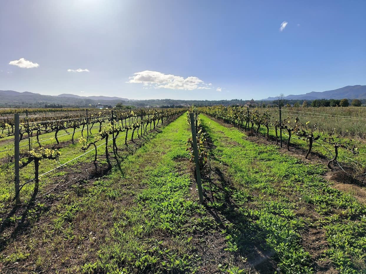 Finca/Country House for sale in Ginestar - € 15,500 (Ref: 7963355)