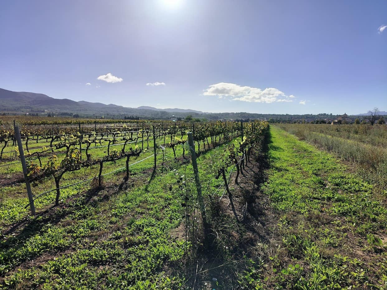 Finca/Country House for sale in Ginestar - € 15,500 (Ref: 7963355)