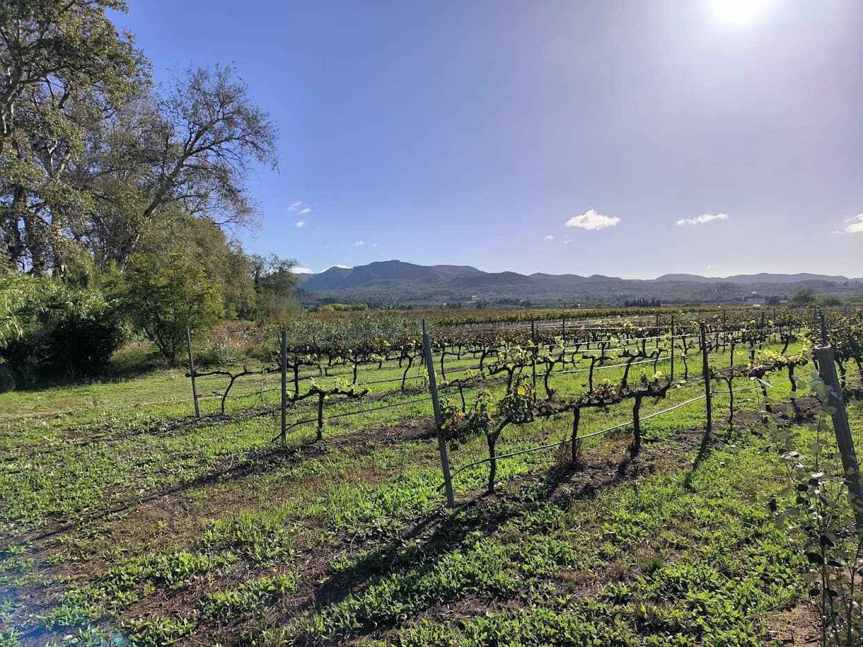 Finca/Country House for sale in Ginestar - € 15,500 (Ref: 7963355)