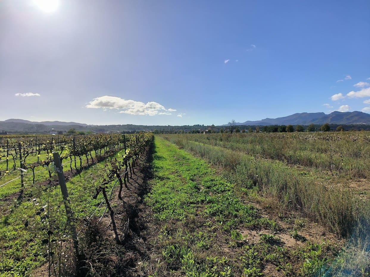 Finca/Country House for sale in Ginestar - € 15,500 (Ref: 7963355)