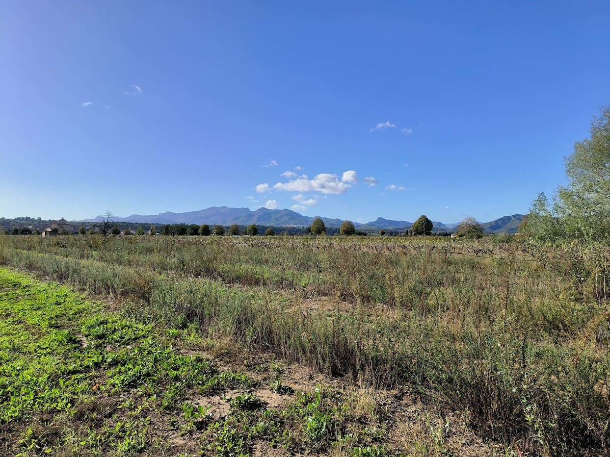 Finca/Country House for sale in Ginestar - € 15,500 (Ref: 7963355)