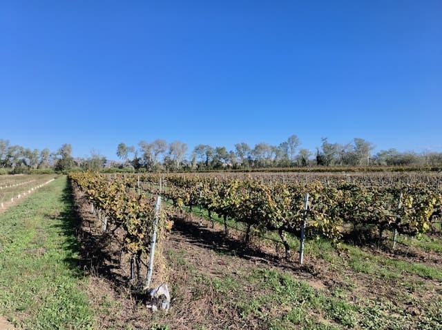 Finca/Herregård til salgs i Ginestar - € 15 500 (Ref: 7963355)