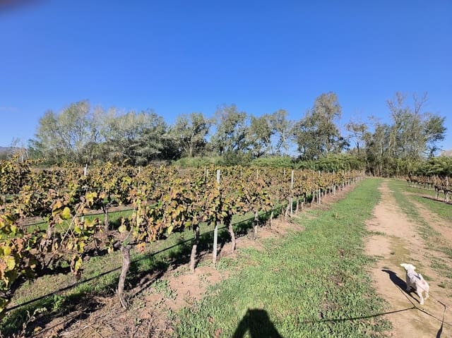 Finca/Herregård til salgs i Ginestar - € 15 500 (Ref: 7963355)