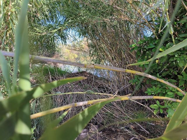 Finca/Herregård til salgs i Ginestar - € 15 500 (Ref: 7963355)