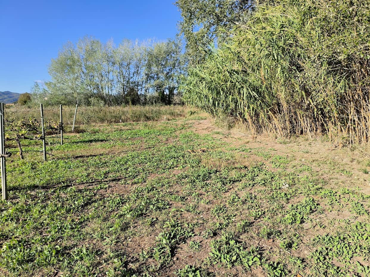 Finca/Country House for sale in Ginestar - € 15,500 (Ref: 7963355)