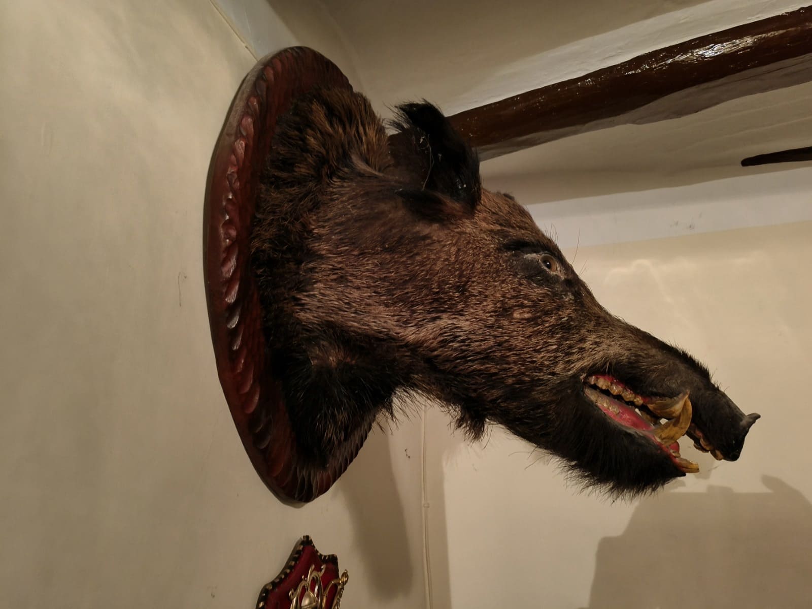 3 soverom Hus til salgs i Tivissa - € 45 000 (Ref: 8149544)