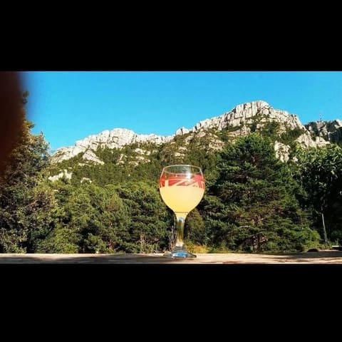 4 bedroom Hotel for sale in Caseres with garage - € 475,000 (Ref: 8155667)