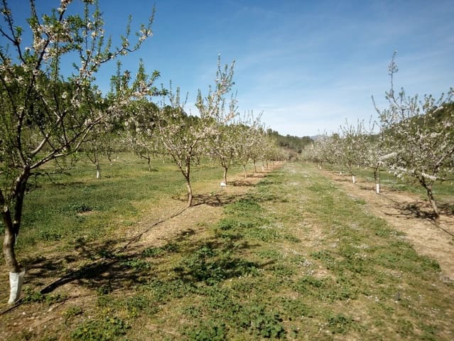 Finca/Country House for sale in Ginestar - € 59,000 (Ref: 8229683)