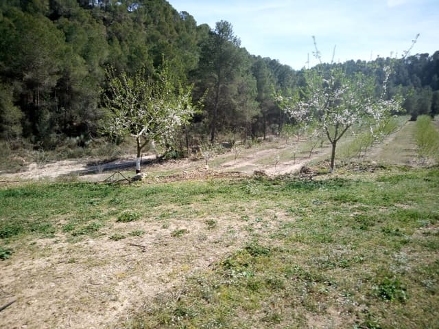 Finca/Country House for sale in Ginestar - € 59,000 (Ref: 8229683)