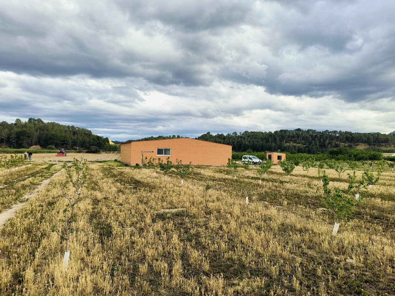 Finca/Landehus til salg i Ginestar - € 59.000 (Ref: 8308960)