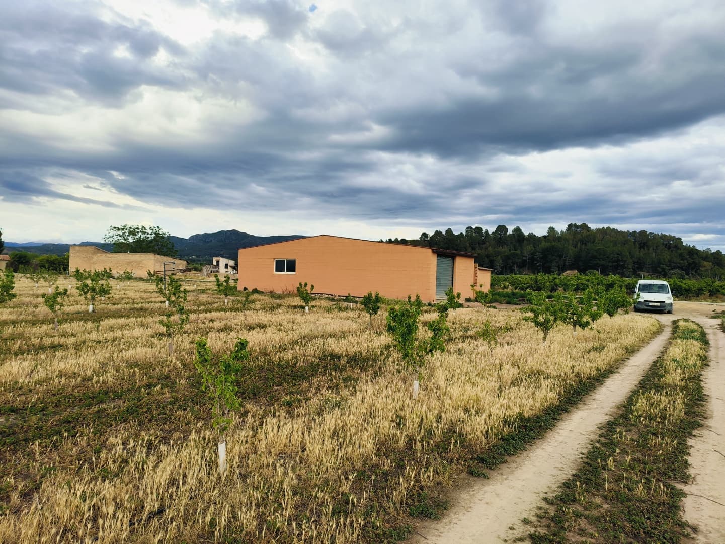 Finca/Landehus til salg i Ginestar - € 59.000 (Ref: 8308960)