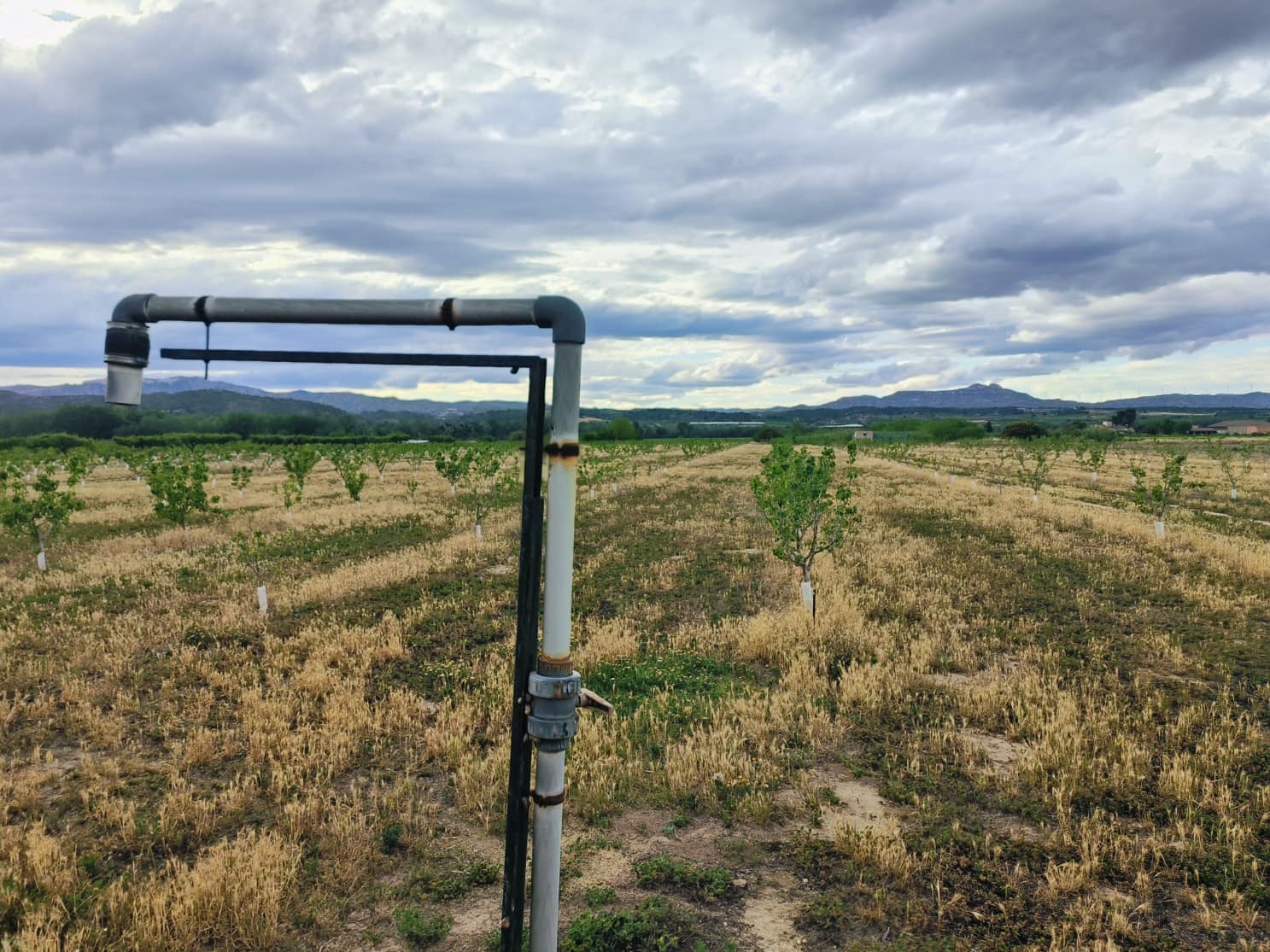 Finca/Landehus til salg i Ginestar - € 59.000 (Ref: 8308960)