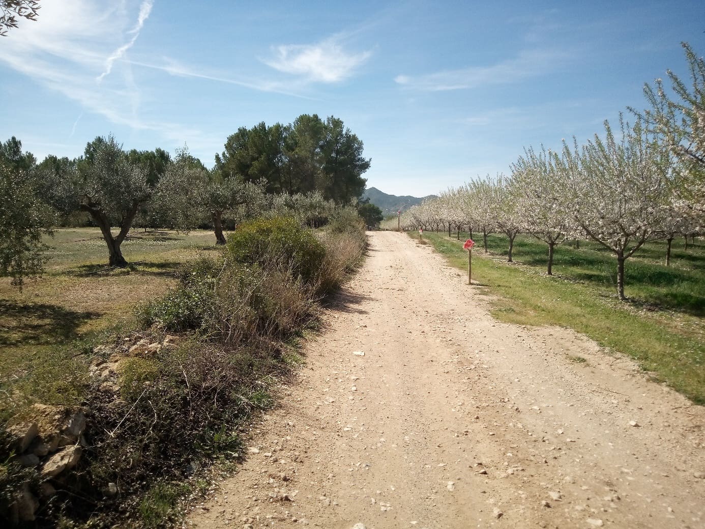 Finca/Maison de Campagne à vendre à Ginestar - 8 000 € (Ref: 8475350)
