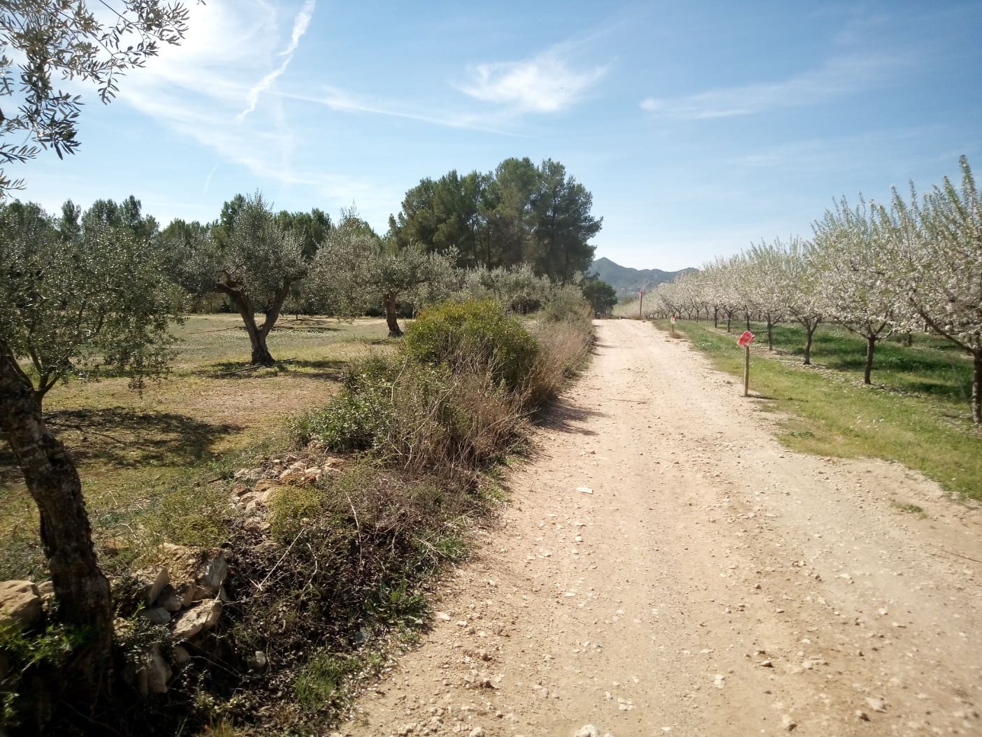 Finca/Maison de Campagne à vendre à Ginestar - 8 000 € (Ref: 8475350)