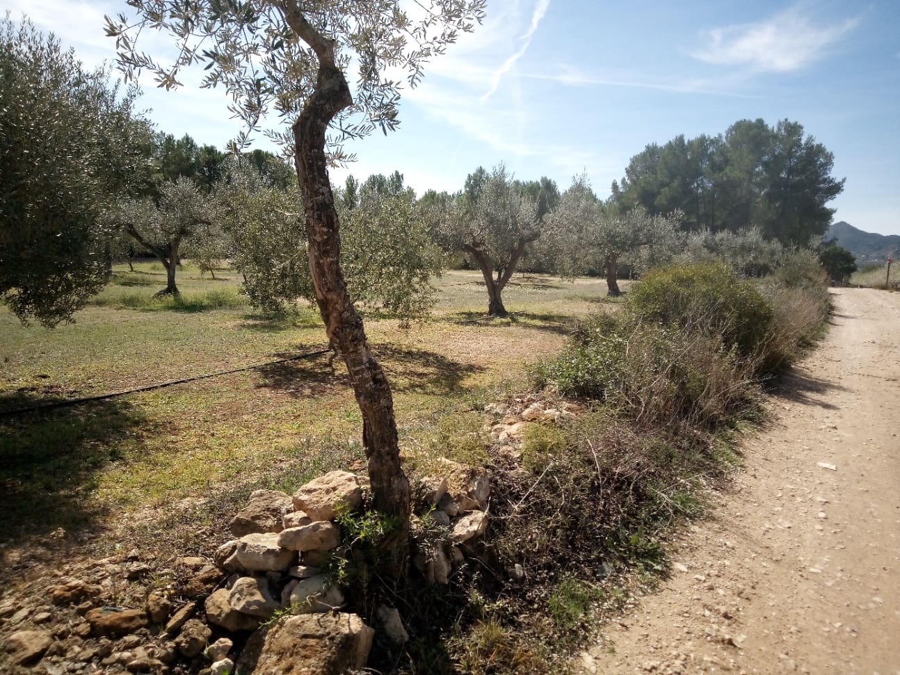 Finca/Maison de Campagne à vendre à Ginestar - 8 000 € (Ref: 8475350)