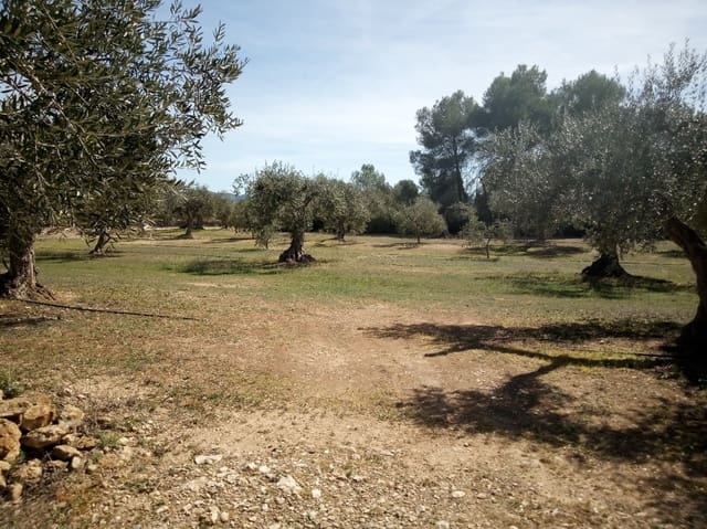 Finca/Herregård til salgs i Ginestar - € 8 000 (Ref: 8475350)