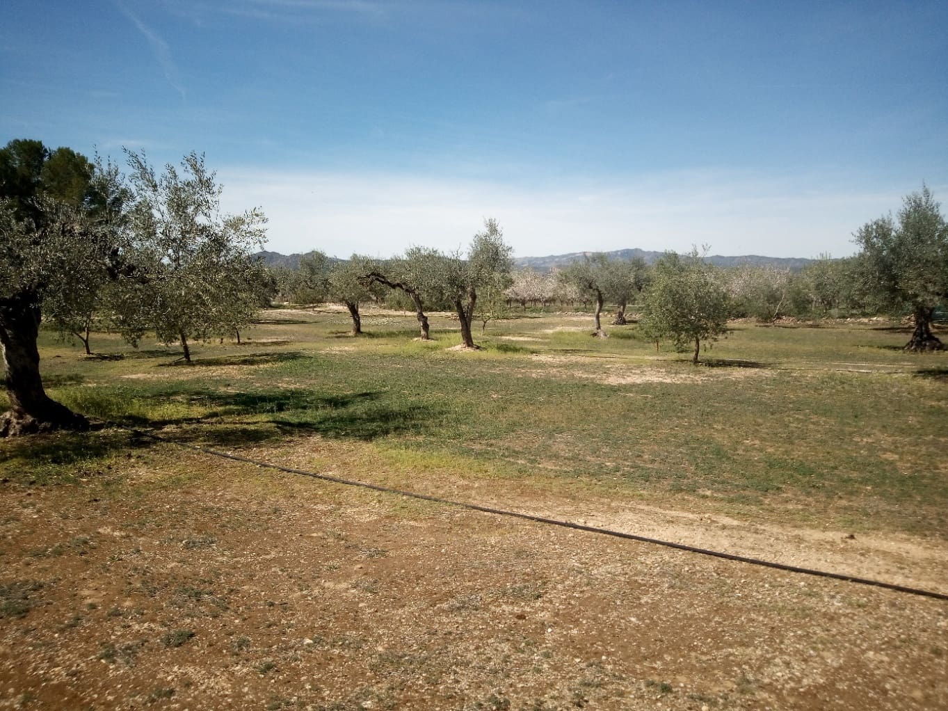 Finca/Maison de Campagne à vendre à Ginestar - 8 000 € (Ref: 8475350)