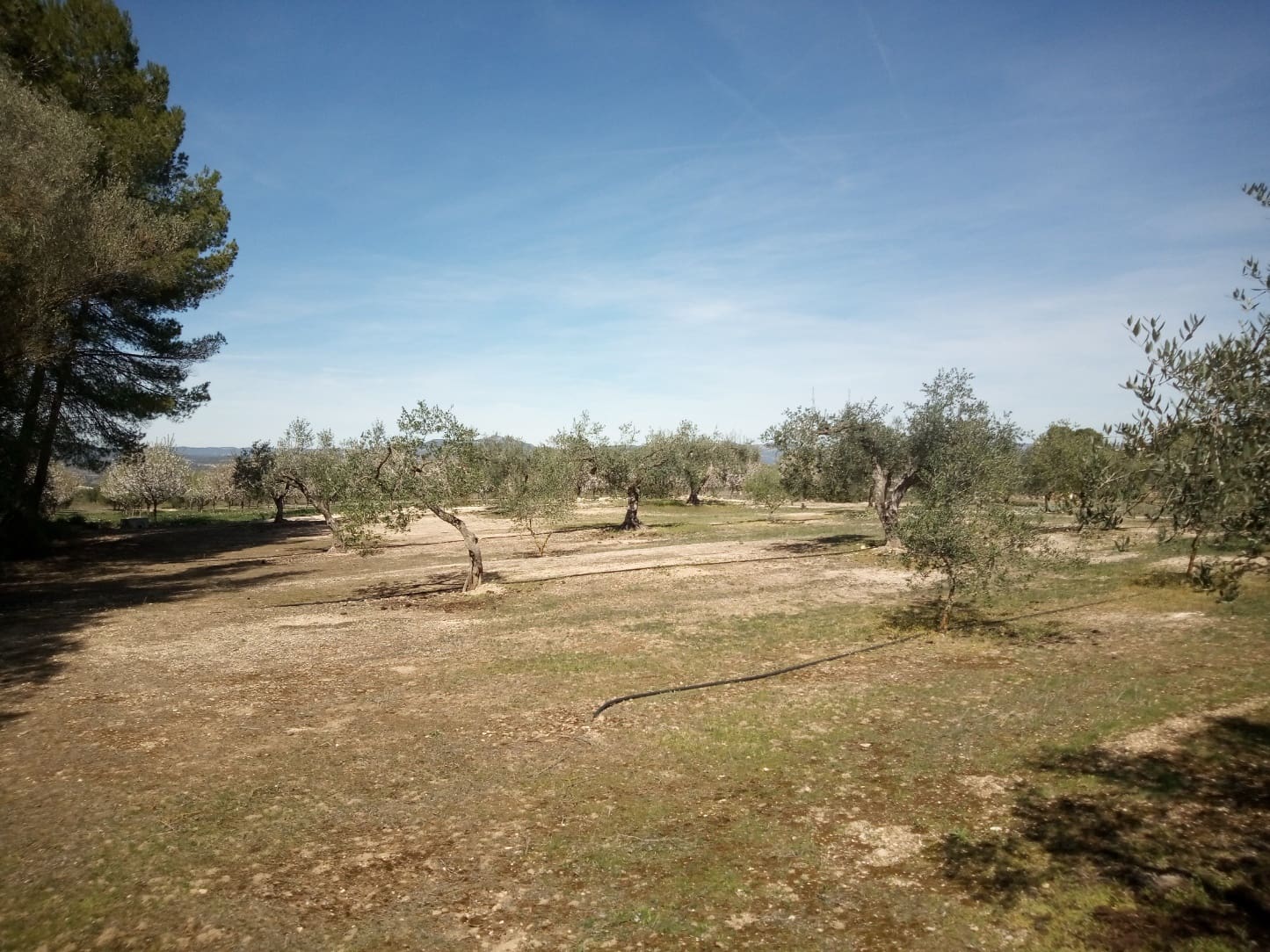 Finca/Maison de Campagne à vendre à Ginestar - 8 000 € (Ref: 8475350)