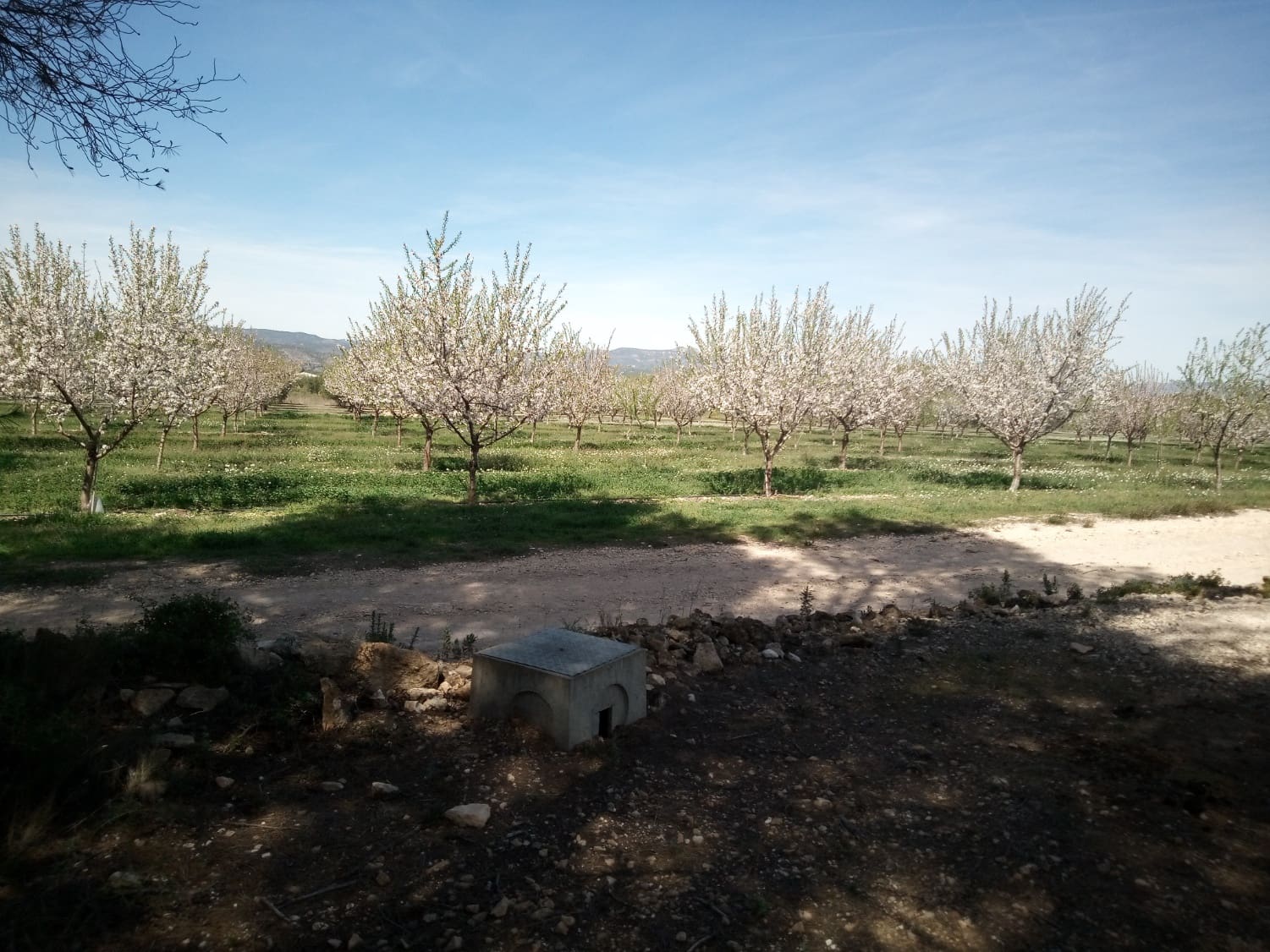 Finca/Maison de Campagne à vendre à Ginestar - 8 000 € (Ref: 8475350)