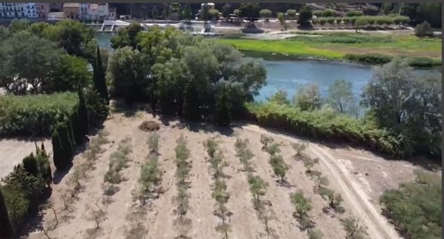 Finca/Landehus til salg i Móra la Nova - € 113.000 (Ref: 8491220)