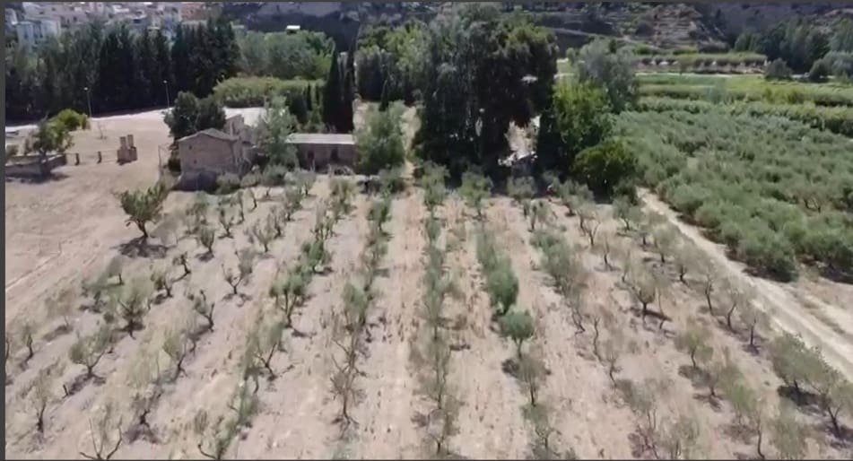 Finca/Landehus til salg i Mora la Nova - € 113.000 (Ref: 8491220)