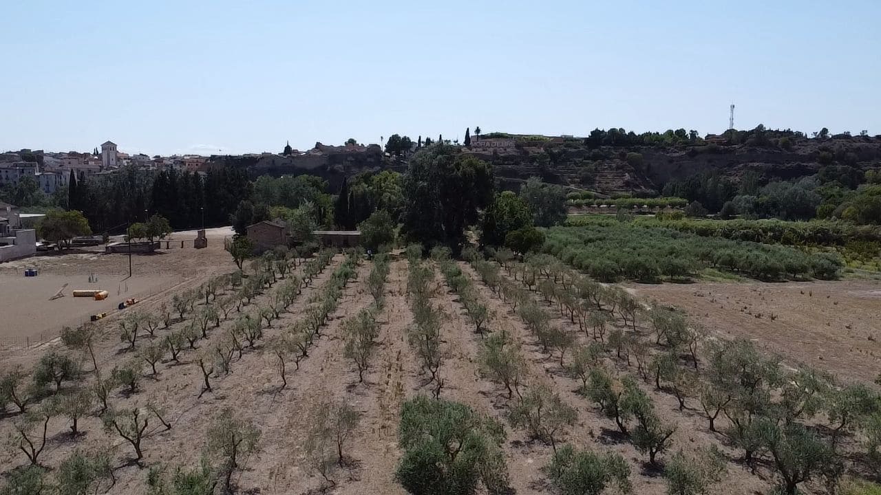 Finca/Landehus til salg i Mora la Nova - € 113.000 (Ref: 8491220)