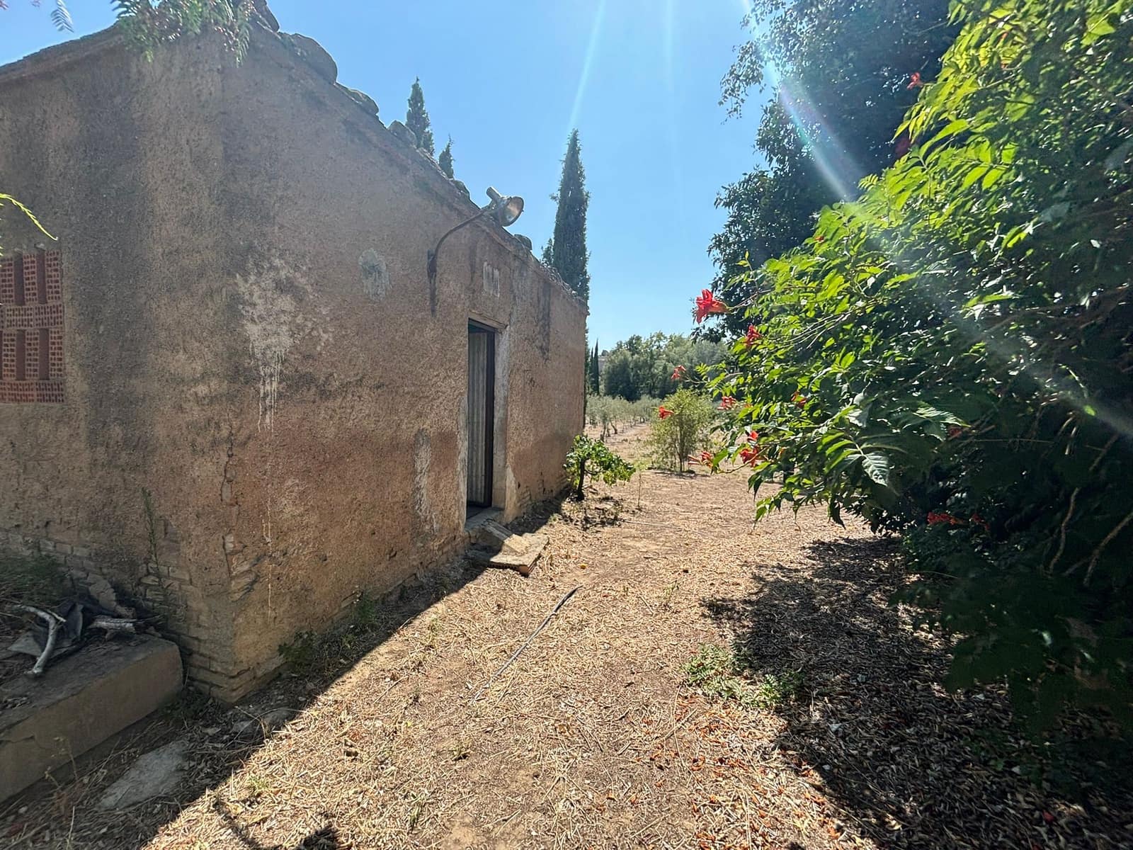 Finca/Landehus til salg i Mora la Nova - € 113.000 (Ref: 8491220)