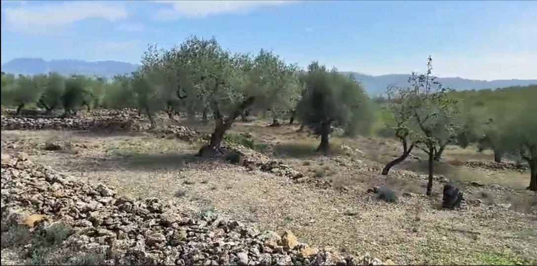 Finca/Landehus til salg i Rasquera - € 55.000 (Ref: 8557599)