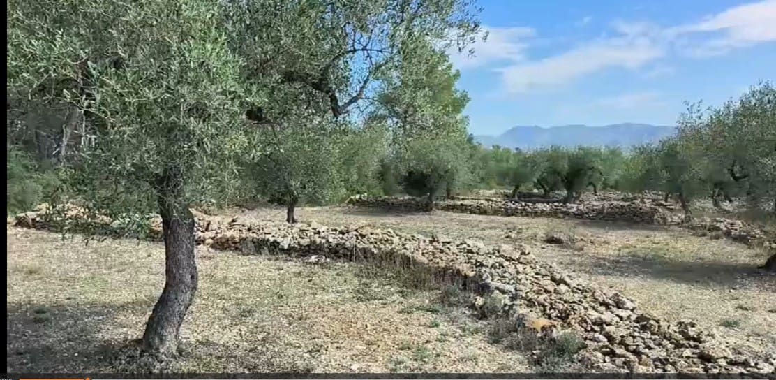 Finca/Landehus til salg i Rasquera - € 55.000 (Ref: 8557599)