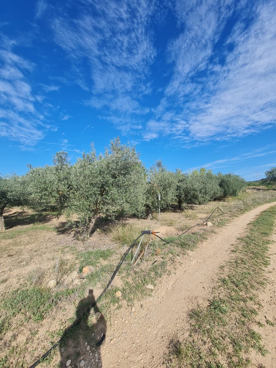 Finca/Casa di Campagna in vendita in Vinebre - 36.000 € (Rif: 8595588)