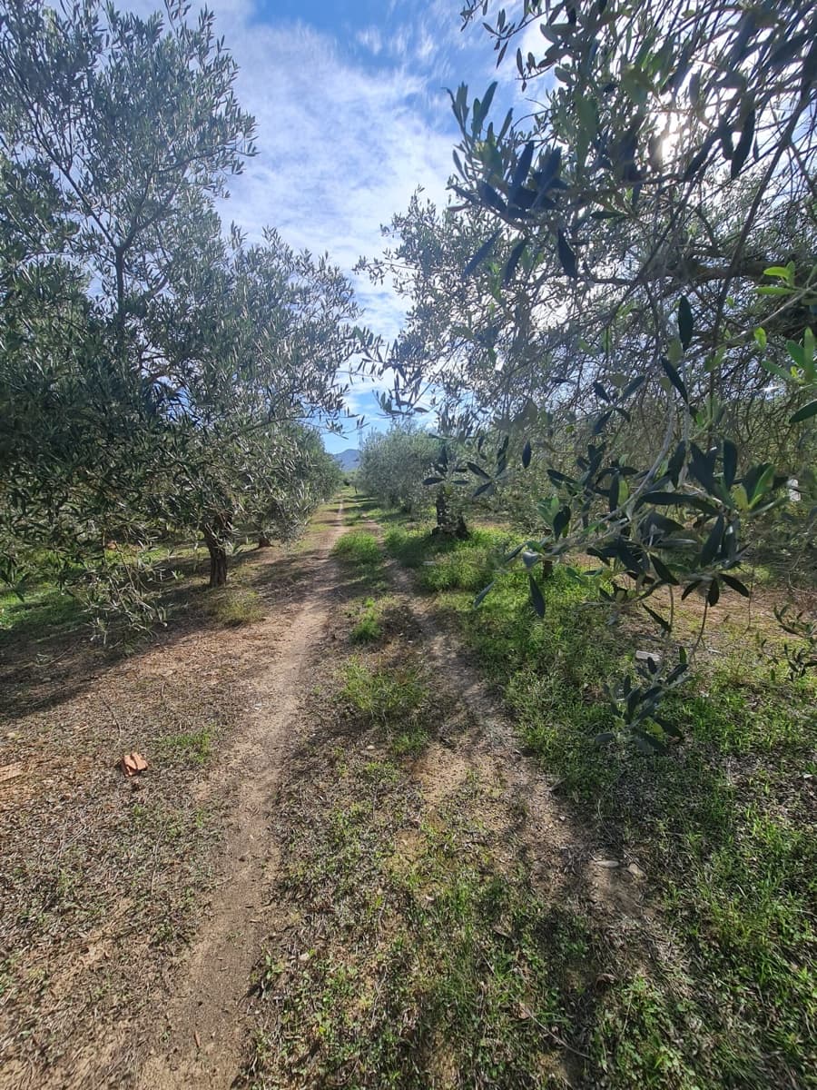 Finca/Casa di Campagna in vendita in Vinebre - 36.000 € (Rif: 8595588)