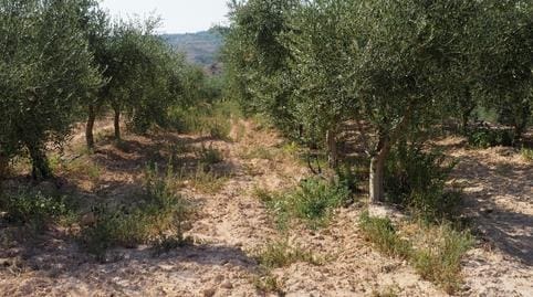 2 bedroom Finca/Country House for sale in Flix with garage - € 162,000 (Ref: 8663686)