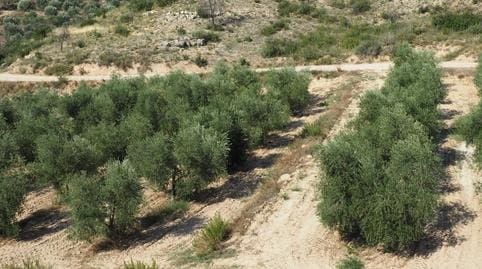 2 bedroom Finca/Country House for sale in Flix with garage - € 162,000 (Ref: 8663686)