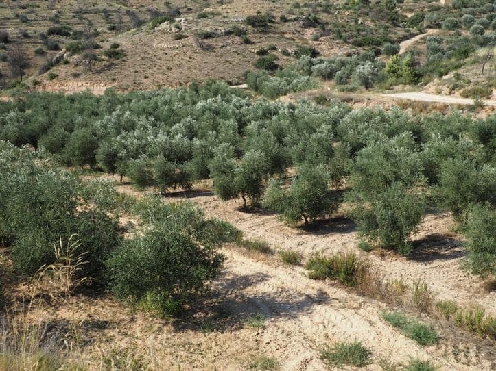 2 bedroom Finca/Country House for sale in Flix with garage - € 162,000 (Ref: 8663686)