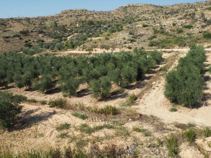 2 bedroom Finca/Country House for sale in Flix with garage - € 162,000 (Ref: 8663686)