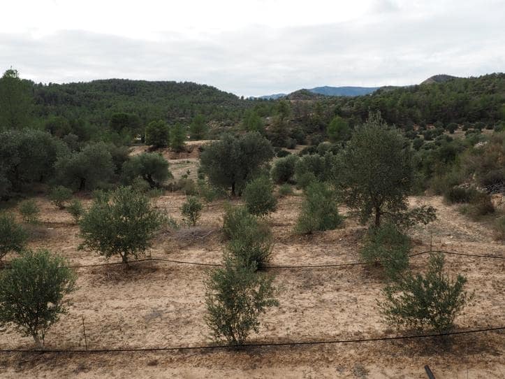 2 soveværelse Finca/Landehus til salg i Flix - € 86.000 (Ref: 8663687)