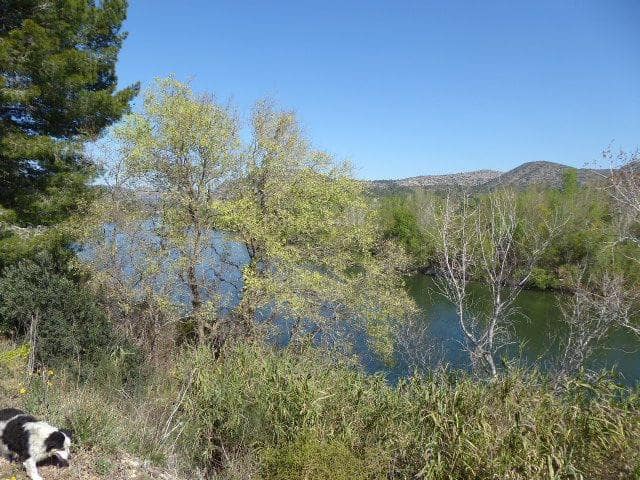 Finca/Casa di Campagna in vendita in Ascó - 29.000 € (Rif: 8792996)