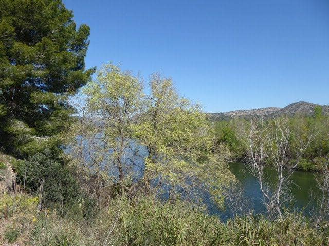 Finca/Casa di Campagna in vendita in Ascó - 29.000 € (Rif: 8792996)
